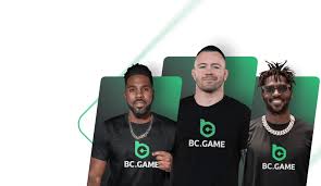 Explore the Excitement of BC Fun